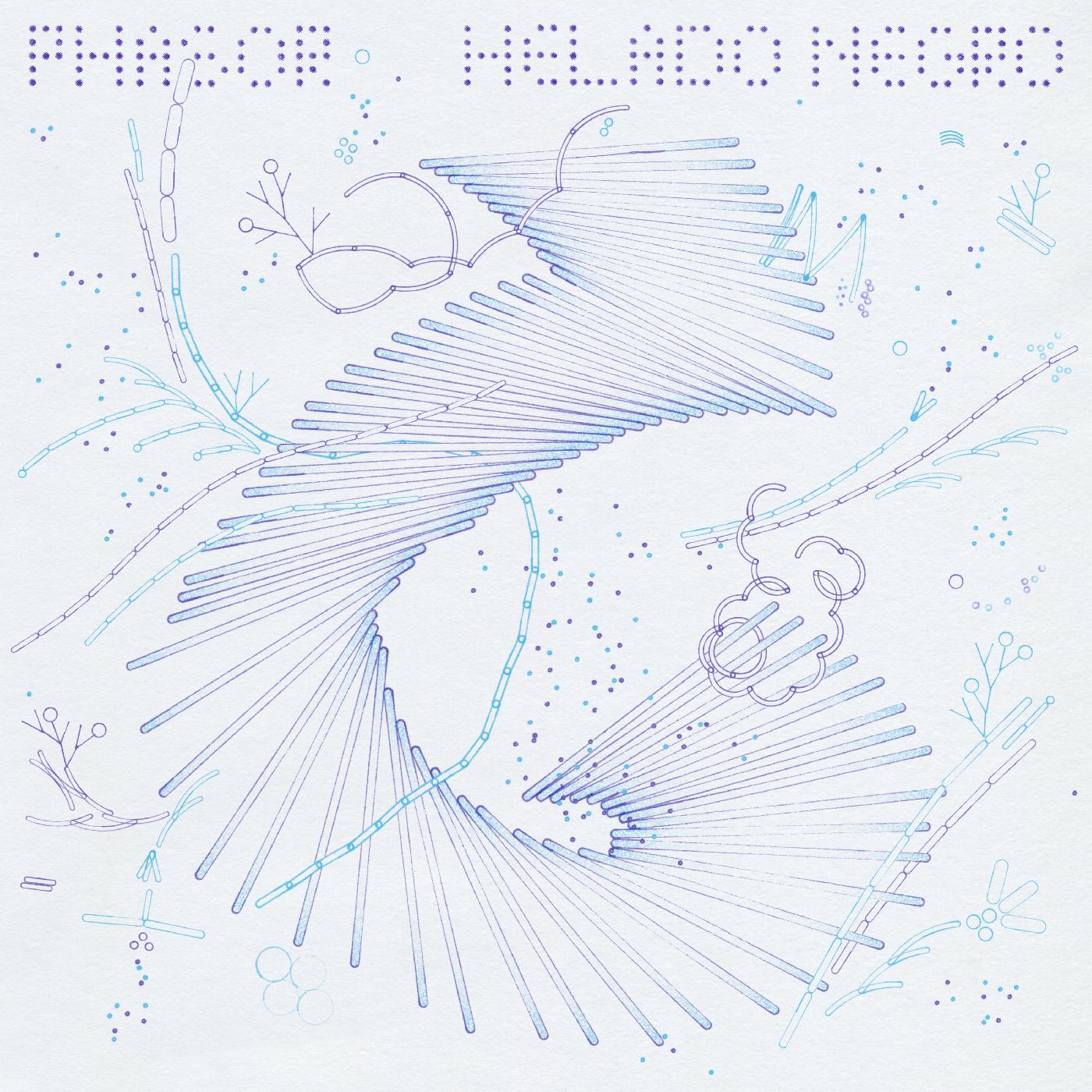 Helado Negro - Phasor Vinyl LP