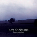 Hey Colossus - Happy Birthday Vinyl LP