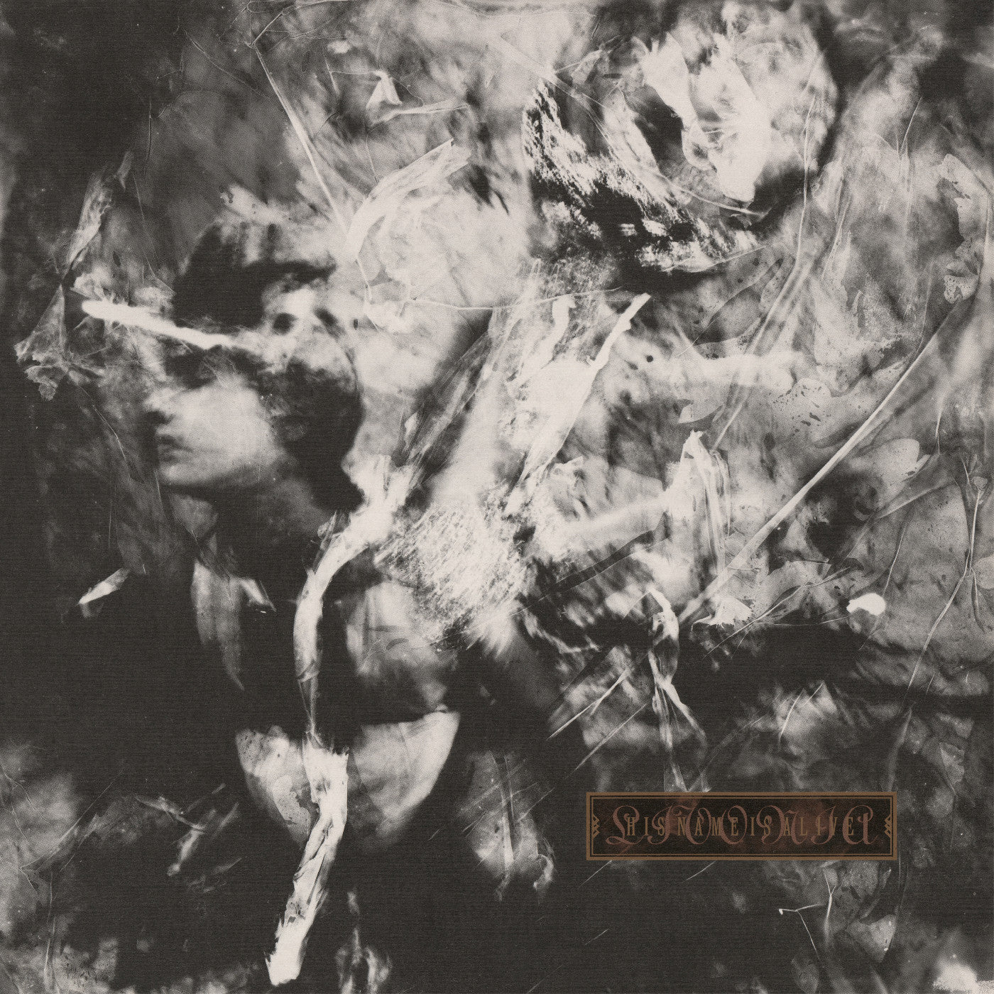 His Name Is Alive - Livonia Vinyl