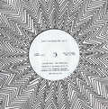 HOUSE OF WALLENBERG (FEAT. ARI UP) - Sunshine Taboo Vinyl 7"