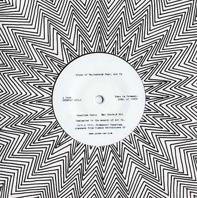 HOUSE OF WALLENBERG (FEAT. ARI UP) - Sunshine Taboo Vinyl 7"