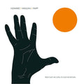 HOWARD/WIGGAN/MAPP - From Dust We Came... To Dust We Return Vinyl LP