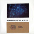 HOWTH CASTLE - Good Morning Mr. Nobody Vinyl LP
