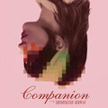 Hrishikesh Hirway - Companion Vinyl