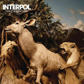 Interpol - Our Love To Admire (Gatefold LP Jacket) (2 Lp's) Vinyl 2LP DOUBLE LP IN A GATEFOLD SLEEVE