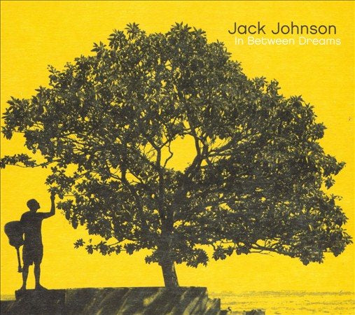 Jack Johnson - In Between Dreams Vinyl