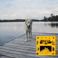 Jaguar Sun - Daisy (Black And Yellow Swirl Vinyl) Vinyl