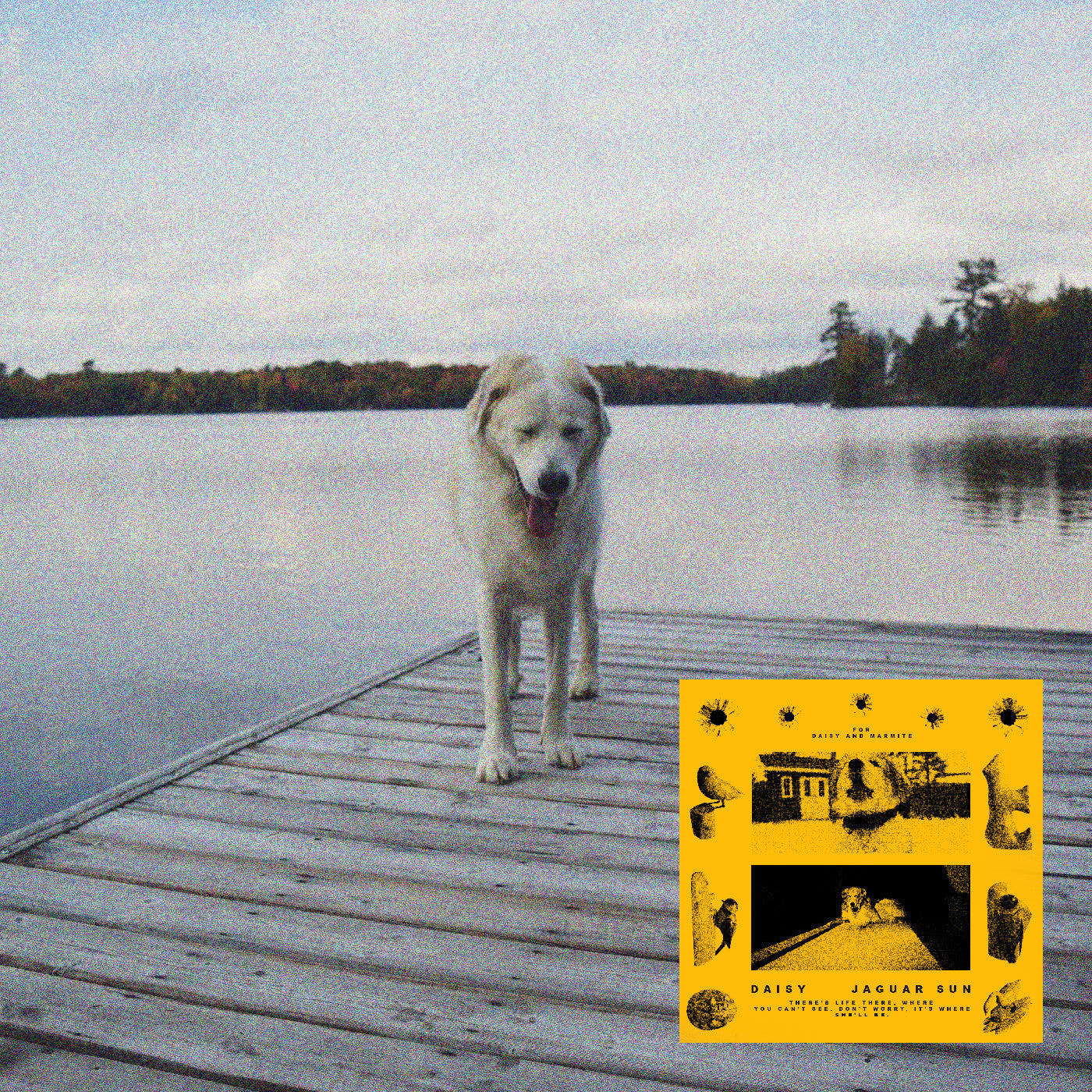 Jaguar Sun - Daisy (Black And Yellow Swirl Vinyl) Vinyl
