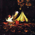 JAMES BLACKSHAW - Love Is The Plan, The Plan Is Death CD CD