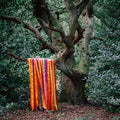 JAMES HOLDEN & THE ANIMAL SPIRITS - The Animal Spirits CD CD