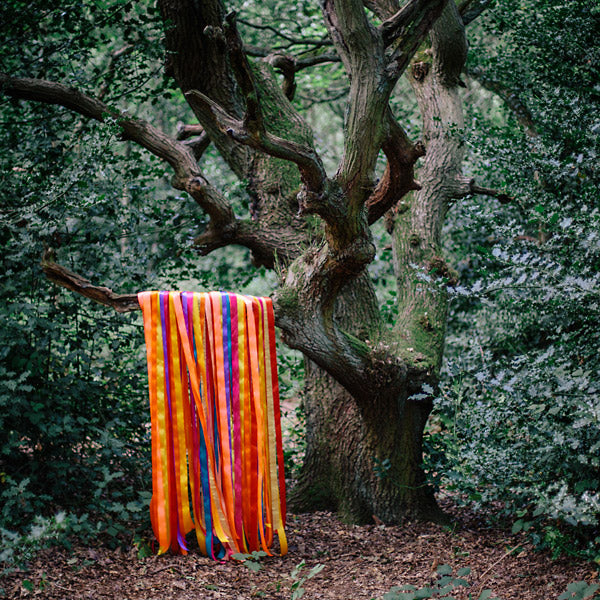 JAMES HOLDEN & THE ANIMAL SPIRITS - The Animal Spirits CD CD