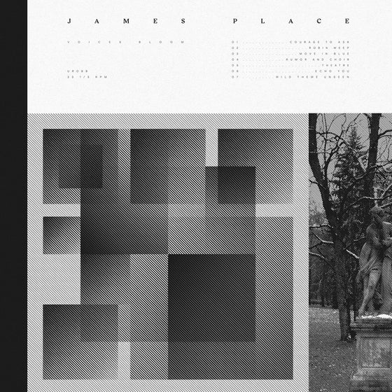 JAMES PLACE - Voices Bloom Vinyl LP