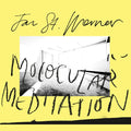 Jan St. Werner - Molocular Meditation Vinyl LP