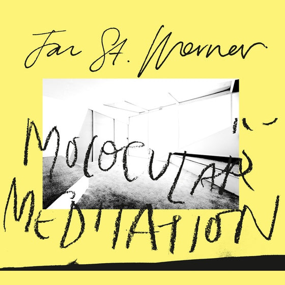 Jan St. Werner - Molocular Meditation Vinyl LP