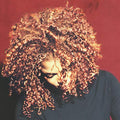Janet Jackson - The Velvet Rope Vinyl