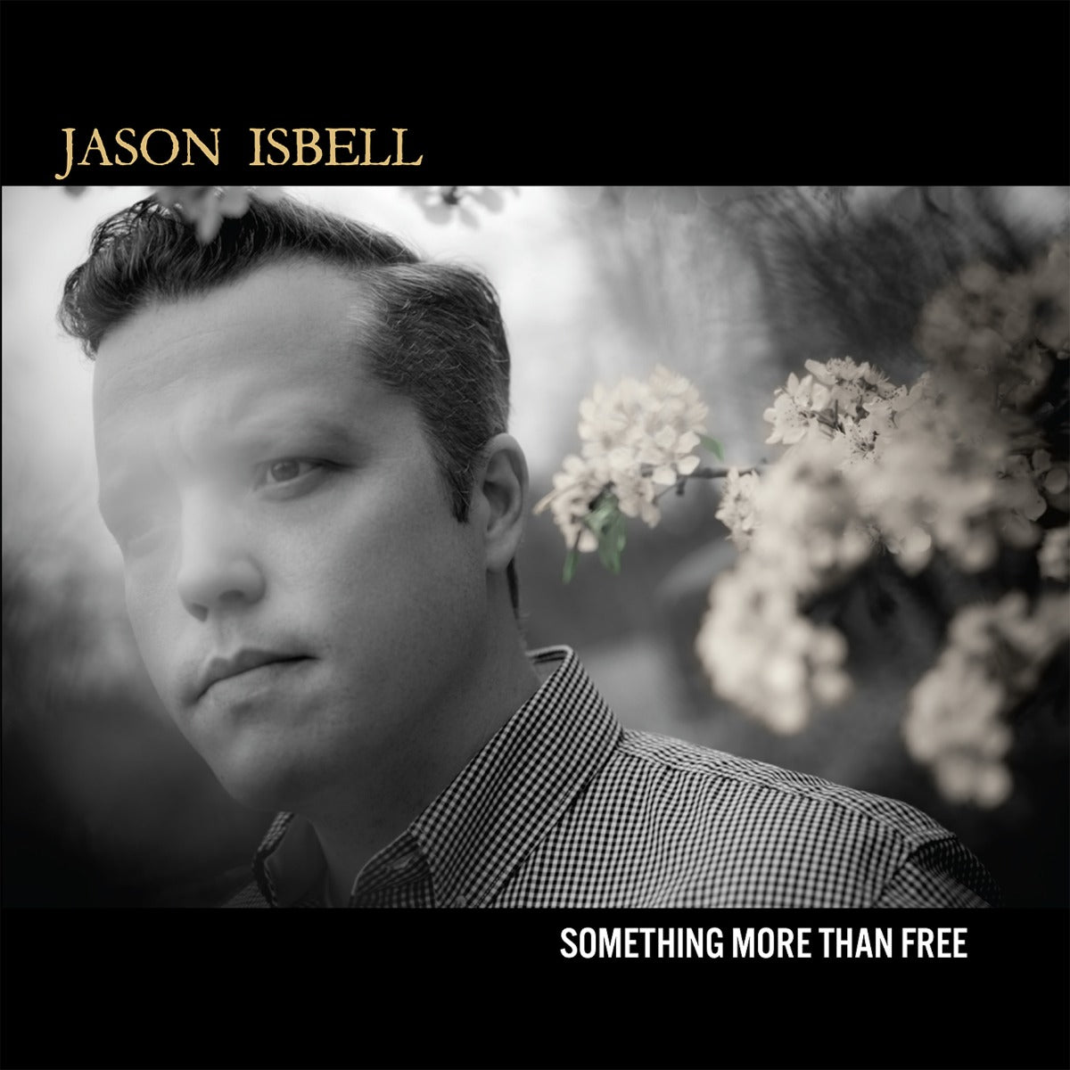 Jason Isbell - Something More Than Free (10 Year Anniversary Edition) (Indie Exclusive Denim Vinyl) [2LP] Vinyl