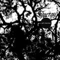 JEFF LIBERMAN - Synergy Vinyl LP
