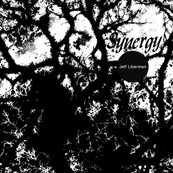 JEFF LIBERMAN - Synergy Vinyl LP