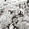 Jeffrey Lewis - The Last Time I Did Acid I Went Insane Vinyl