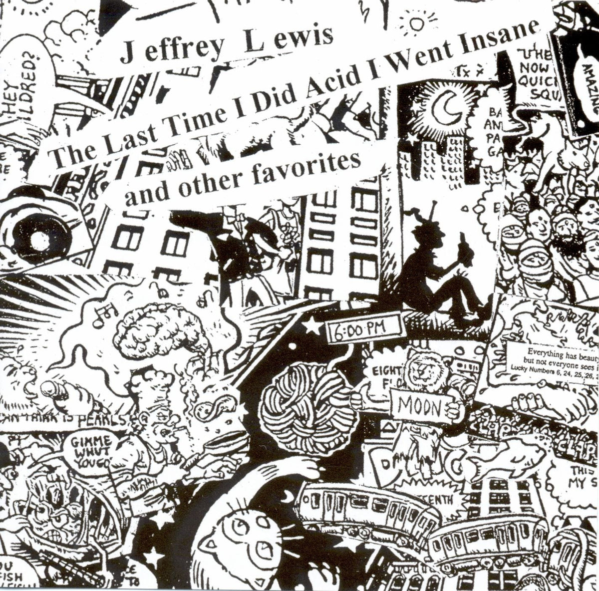 Jeffrey Lewis - The Last Time I Did Acid I Went Insane Vinyl