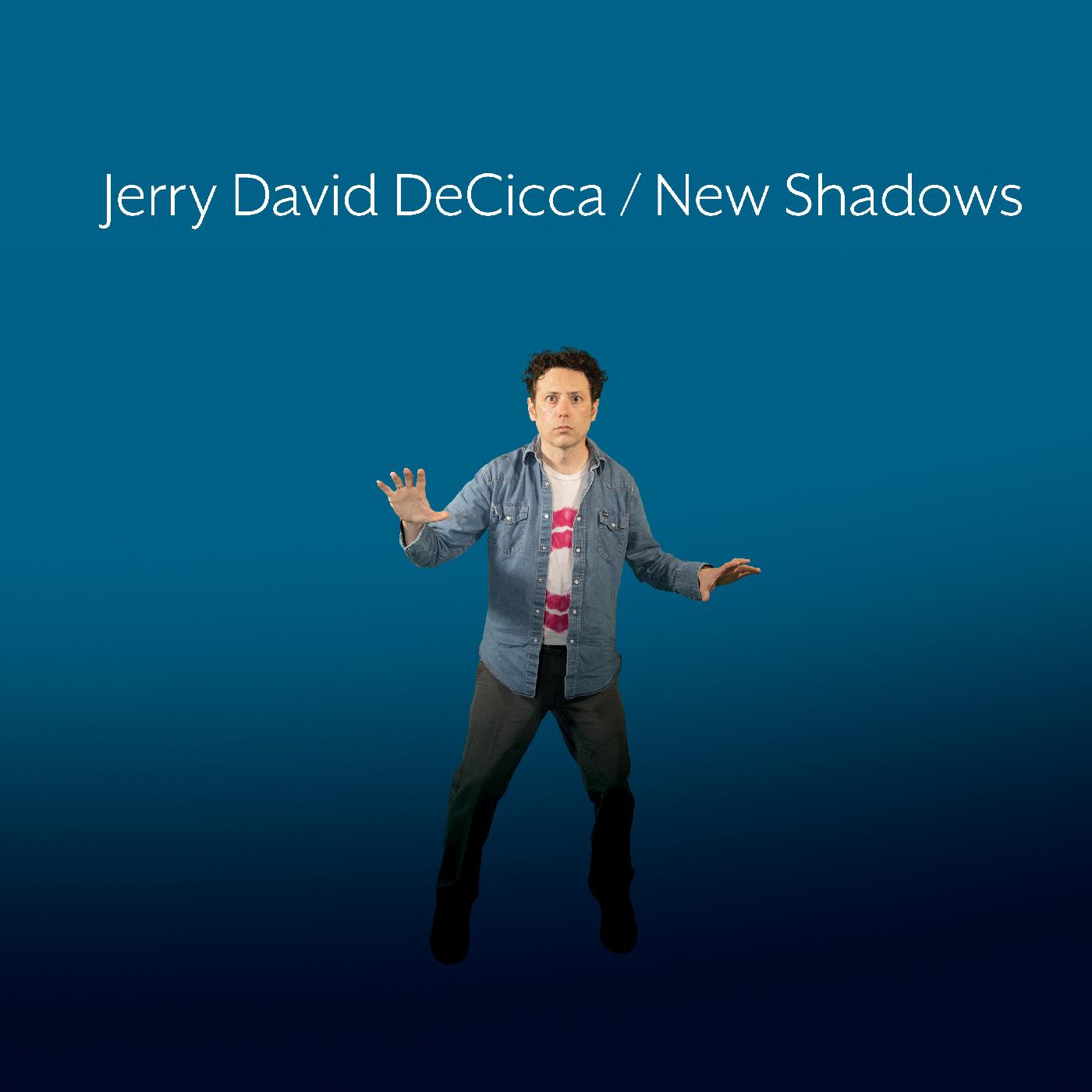 Jerry David DeCicca - New Shadows Vinyl LP Tip-on Gatefold Jacket