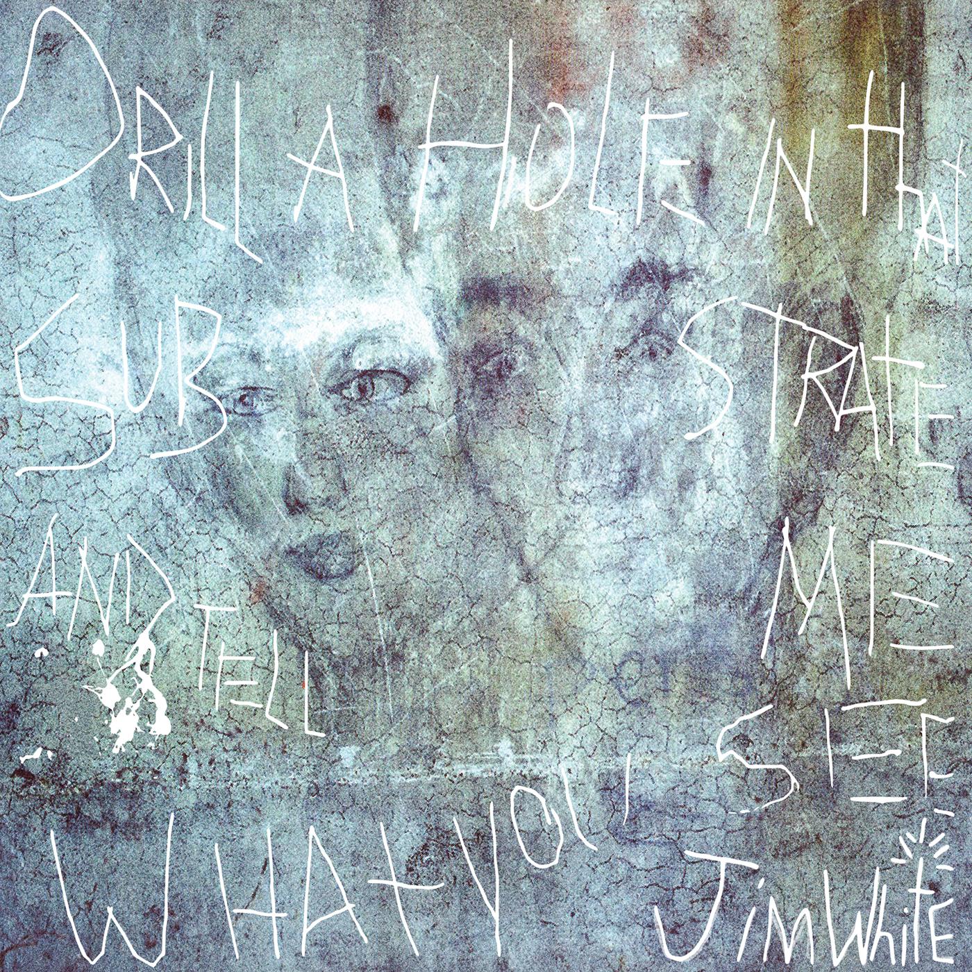 Jim White - Drill a Hole in That Substrate and Tell Me What You See Vinyl 2LP, 20th Anniversary Edition, Gatefold Jacket, With Three Extra Tracks