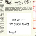 Jim White - No Such Place Vinyl 2LP w/ DL and D-side etching