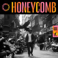 Jitwam - Honeycomb Deluxe Edition Vinyl LP