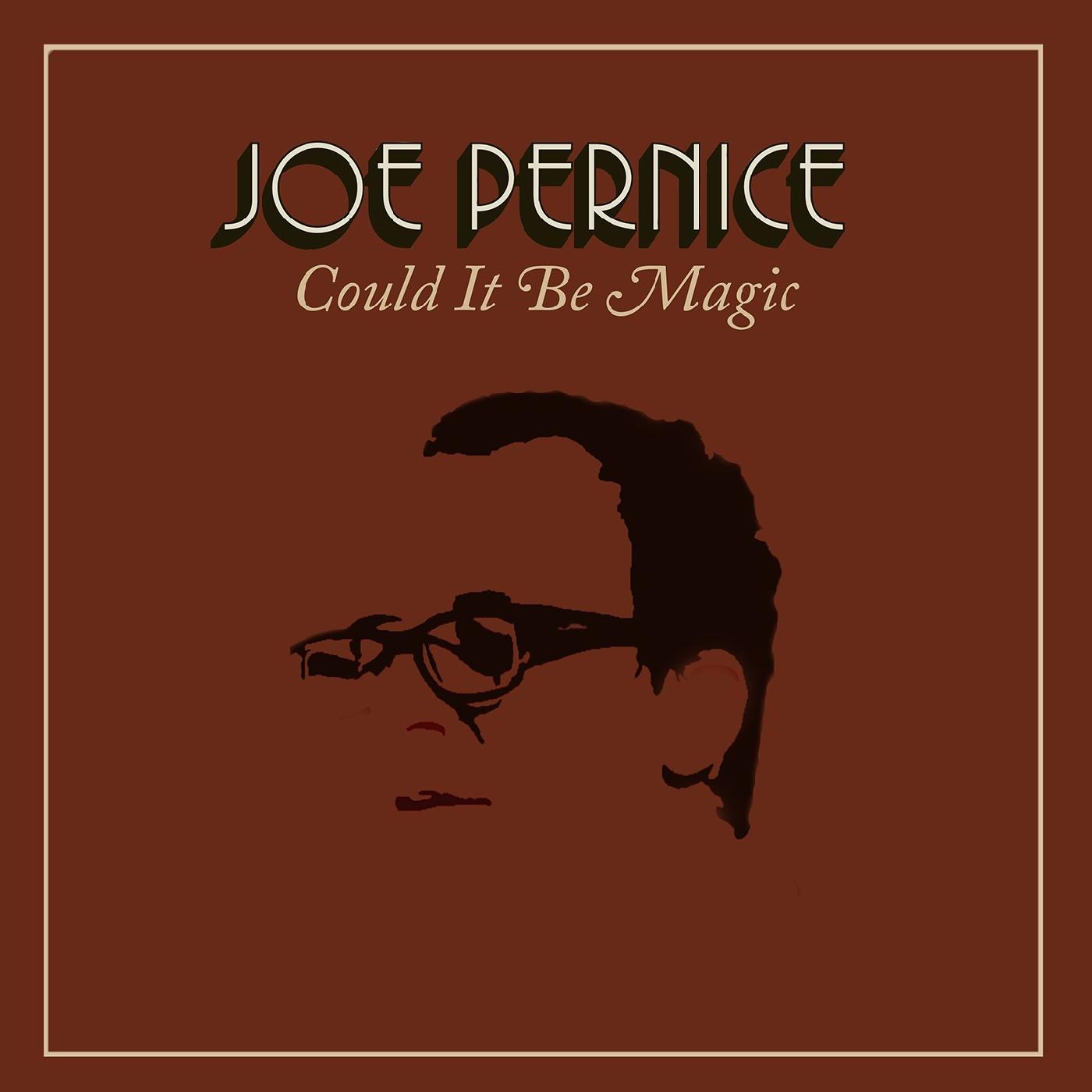 Joe Pernice - Could It Be Magic Vinyl LP