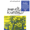 Joel Vandroogenbroeck - Images Of Flute In Nature Vinyl LP Black