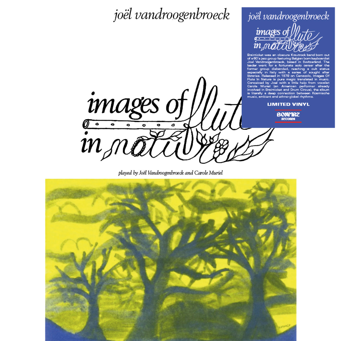 Joel Vandroogenbroeck - Images Of Flute In Nature Vinyl LP Black