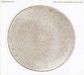 John Davis - The Gold Hooped Nature CD CD