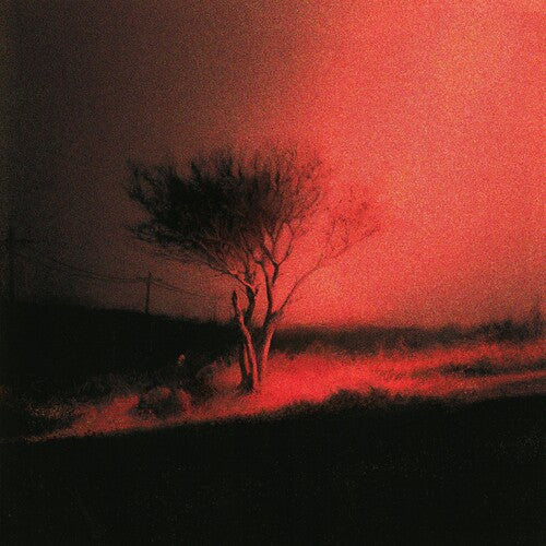 Joji - Piss In The Wind [Explicit Content] (Indie Exclusive, Prism Colored Vinyl) Vinyl