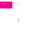 Jon Mueller - Canto (MAGENTA & BLACK STREAK VINYL) Vinyl LP Magenta & Black Streak Vinyl, Custom Letter-Pressed Jacket