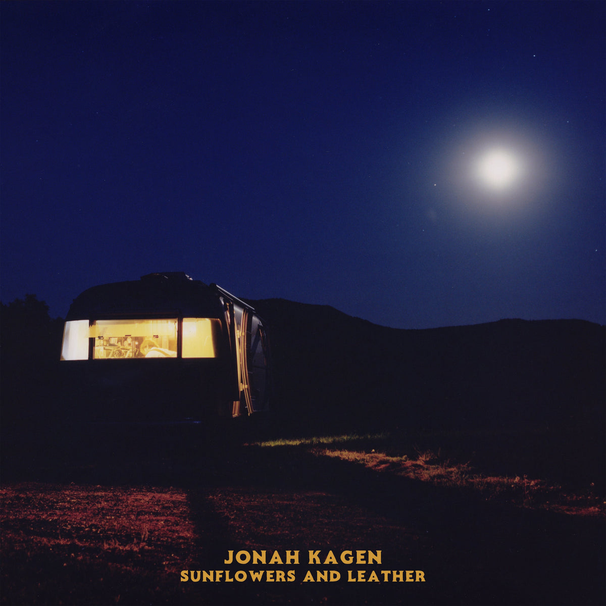 Jonah Kagen - Sunflowers And Leather [2LP] Vinyl