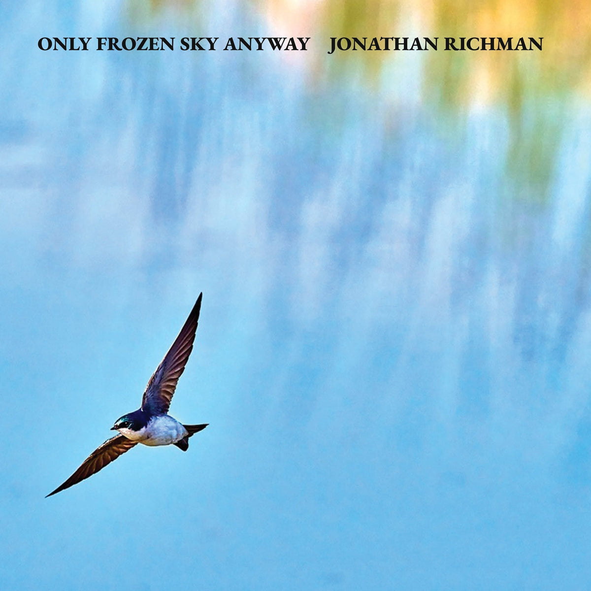 Jonathan Richman - Only Frozen Sky Anyway LP Vinyl