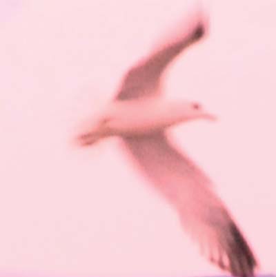 Julia Holter - Maria/2HB Vinyl 7"