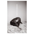 Julia Holter - Materia Vinyl