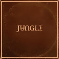Jungle - Sunshine Vinyl