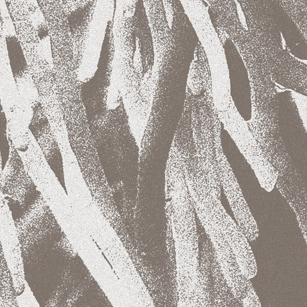JW PATON - Structures CD CD