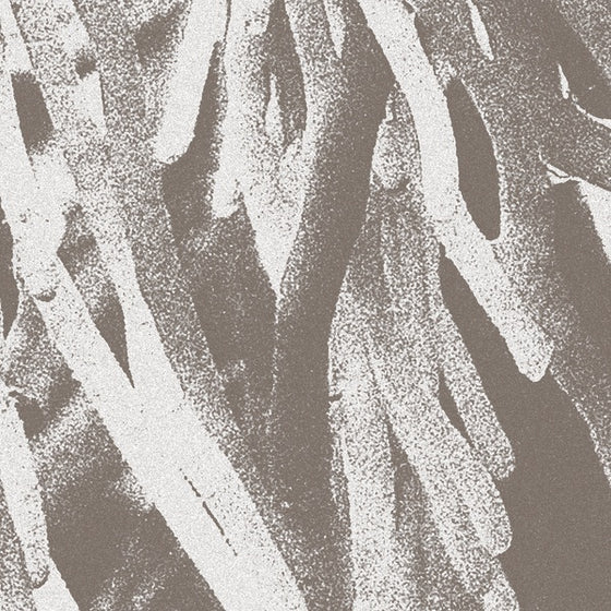 JW PATON - Structures CD
