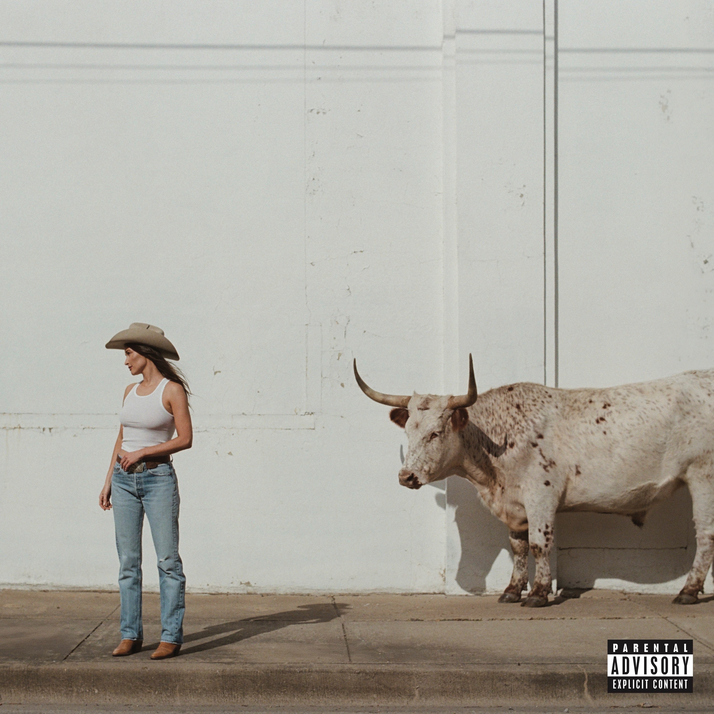 Kacey Musgraves - Middle Of Nowhere CD