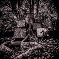 Kamasi Washington - Harmony of Difference [EP] * Vinyl 12" EP standard Jacket