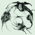 KASSEL JAEGER - A Rift In the Horizon's Wall Vinyl LP
