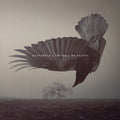 Katatonia - The Fall Of Hearts (10Th Anniversary) [Pearl Dawn Vinyl] [2LP] Vinyl