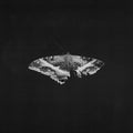 Kendrick Lamar - To Pimp A Butterfly (10 Year Anniversary Edition) - Alternate Artwork [180G 2 Lp] Vinyl
