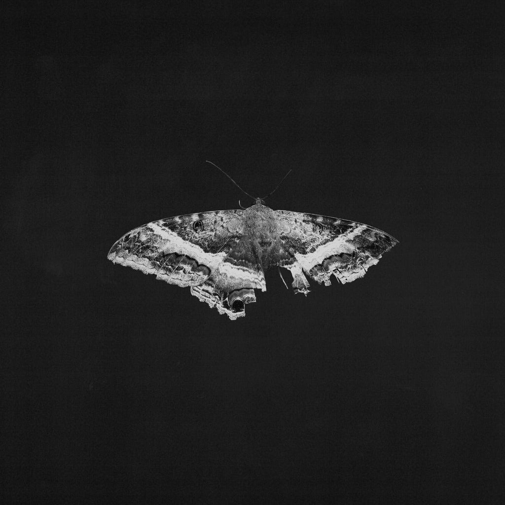 Kendrick Lamar - To Pimp A Butterfly (10 Year Anniversary Edition) - Alternate Artwork (Black marble Vinyl) [2 LP] Vinyl