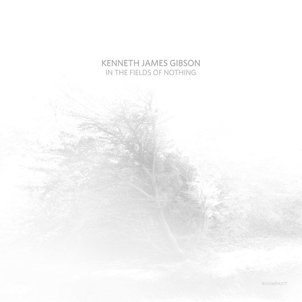KENNETH JAMES GIBSON - In The Fields Of Nothing CD CD