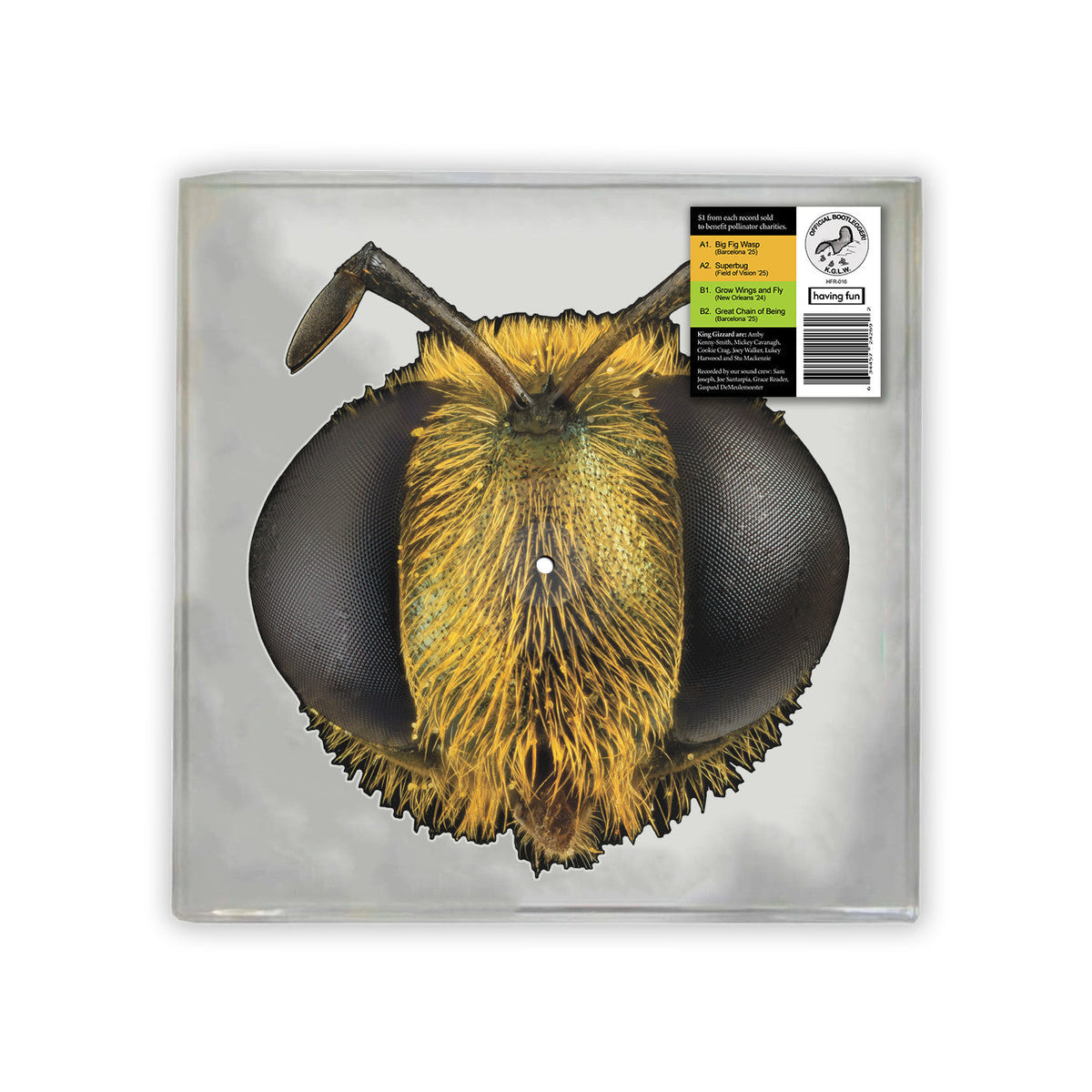 King Gizzard & The Lizard Wizard - Big Fig Wasp (Bee/Bug Shaped Vinyl) Vinyl
