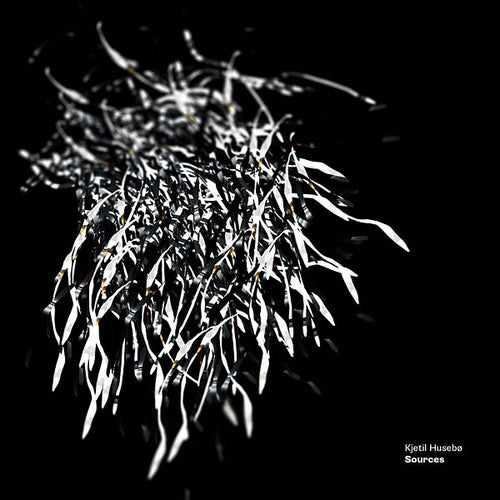 KJETIL HUSEBO - Sources CD CD